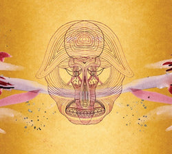 Devendra Banhart