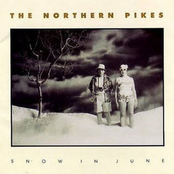 Northern Pikes
