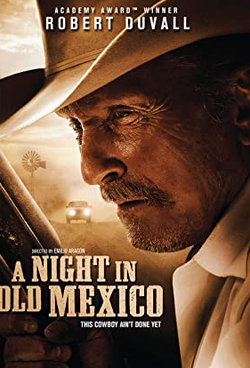 Night in Old Mexico