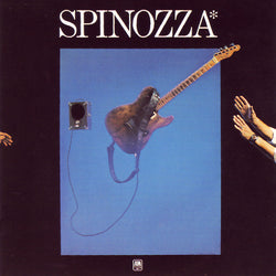 David Spinozza