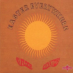 13th Floor Elevators